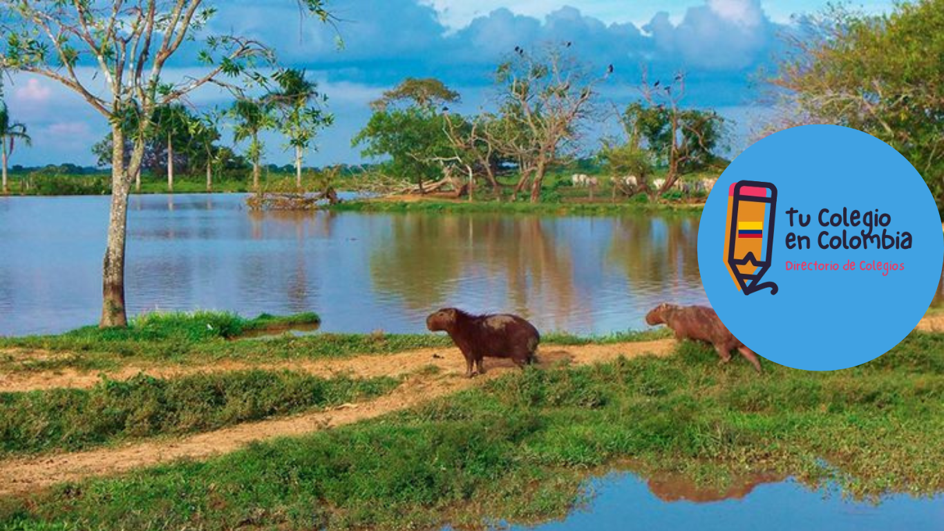 Colegios en el Departamento de Casanare