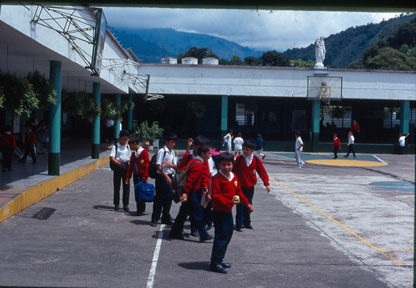 Colegios En Coyaima